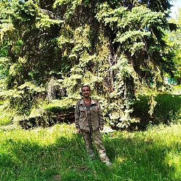 ������, ������, 38 ���