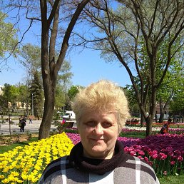 ���� �����, �������, 62 ���� - ��������� 17 ��� 2023