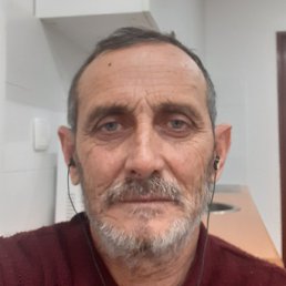 ����, �������, 61 ���