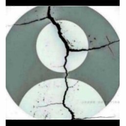 ���� �����, ����-���������, 41 ��� - ��������� 4 ���� 2023