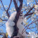 ���� ����, ������� - ��������� 18 ������ 2023 � ������ ���� ����������