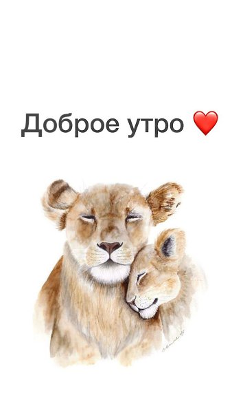 ***Victoria Viktorovna*** - 15  2023  04:41