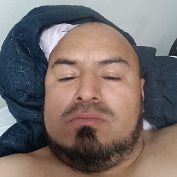 Migut, ����, 41 ���