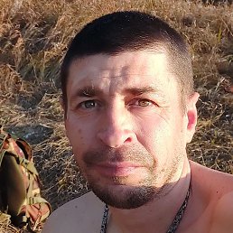 ������, ���������, 47 ���