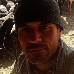 Umed, �������, 27 ���