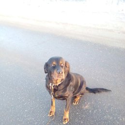 ����, ������, 37 ���