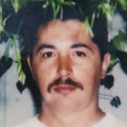 �������, ������, 74 ����