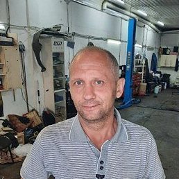 �������, �������, 46 ���