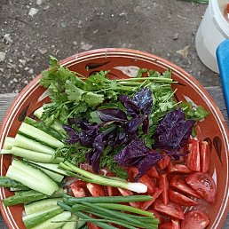 Malik, ������, 37 ���