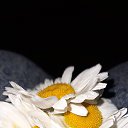 ���� Gio, �����������, 37 ��� - ��������� 21 ��� 2023 � ������ ���� ����������