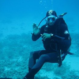 ���� Black Tiger, ����, 48 ��� - ��������� 12 ����� 2023