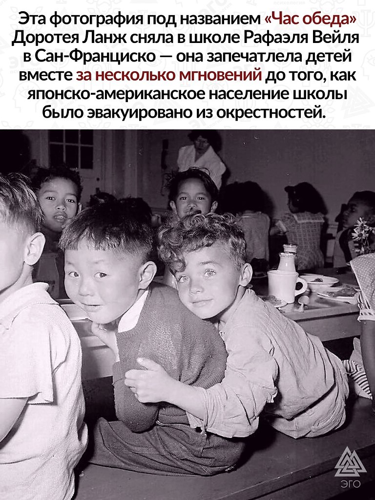          ...      ...