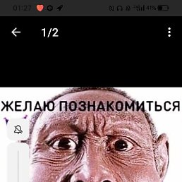�����, ������, 37 ���