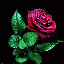 ���� ������, ��������, 37 ��� - ��������� 10 ����� 2023