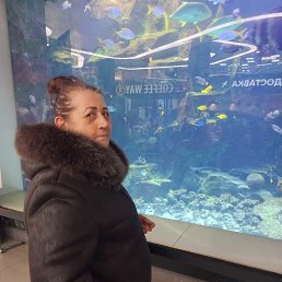 ���� �����, �����, 58 ��� - ��������� 15 ���� 2023