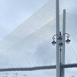 ������, ���������