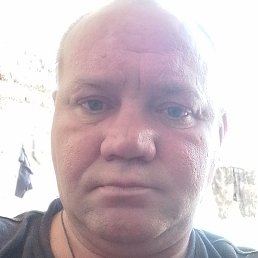 ����, ���������, 46 ���