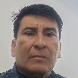 Willy, �����, 42 ����