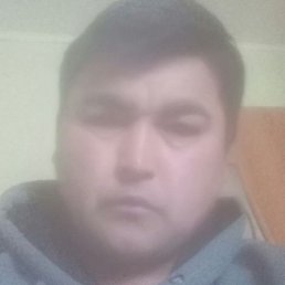 ������� �����, �����-���������, 41 ���