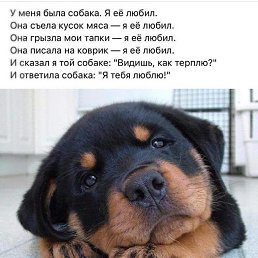 ���� �����, ������, 64 ���� - ��������� 10 ������� 2023