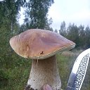 ���� ���������, ������, 59 ��� - ��������� 5 ������� 2023 � ������ ���� ����������