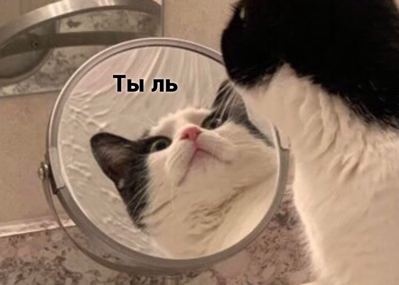 ������� � ����) - 2