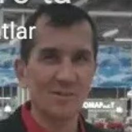 ��������, ���������, 51 ���