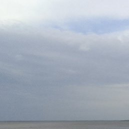 ������, ������ ��������, 49 ���