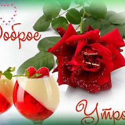 ����, �����-���������, 37 ���