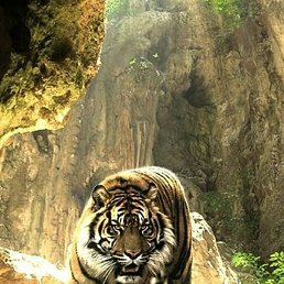 ������, ������, 31 ���