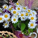 ���� ����� ����, ������-��-���� - ��������� 23 ��� 2023 � ������ ������ ��������