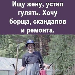 ������, ������������, 41 ���