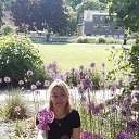 ���� ��������, ����, 54 ���� - ��������� 27 ��� 2023 � ������ ���� ����������