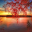 ���� �����, �������� - ��������� 1 ������� 2023 � ������ ������ ��������