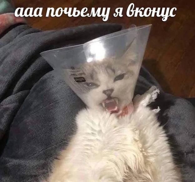    - 29  2023  04:40