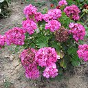 ���� �������, �����������, 70 ��� - ��������� 14 ����� 2023 � ������ ���� ����������