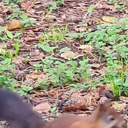 ������, ������, 41 ���