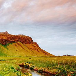 ����, �����-���������, 49 ���