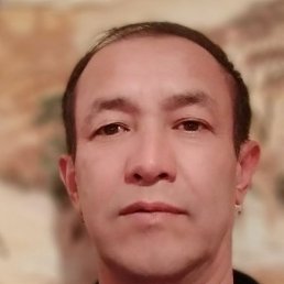 ����, ������, 46 ���