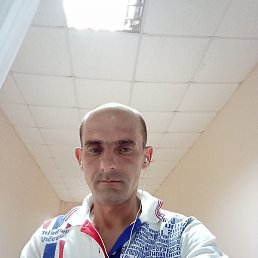 �����, �����������, 44 ����