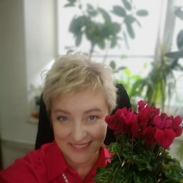 ���� ��������, ������, 52 ���� - ��������� 29 ������� 2023