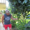 ���� ��������, ��������, 64 ���� - ��������� 20 ������� 2023 � ������ ���� ����������