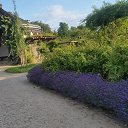 ���� �����, �����������, 68 ��� - ��������� 3 ���� 2023 � ������ ������ �������