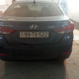 Samit Beyaliyev, ����, 31 ���