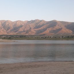 ���� �����, ���������, 39 ��� - ��������� 11 ���� 2023