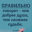 ���� ���, ������, 43 ���� - ��������� 7 �������� 2023