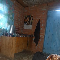 ���� ˸��, ���������, 60 ��� - ��������� 27 �������� 2023