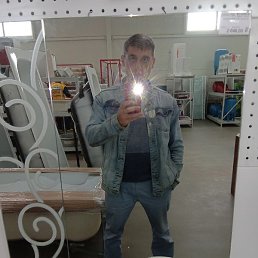 ����, �����-���������, 44 ����