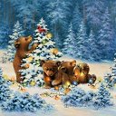 ���� �������, �����������, 40 ��� - ��������� 11 ���� 2023