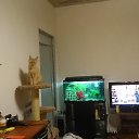 ���� �������, �����-���������, 51 ��� - ��������� 15 ���� 2023